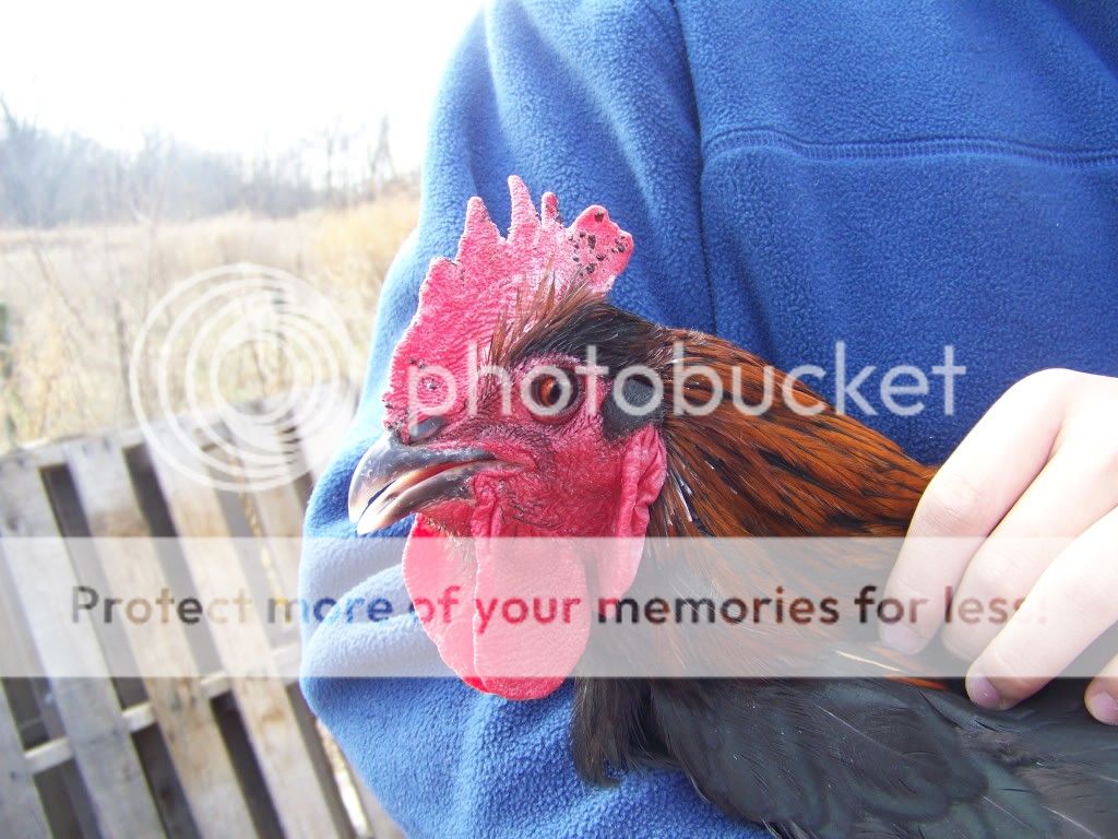 100_4074.jpg