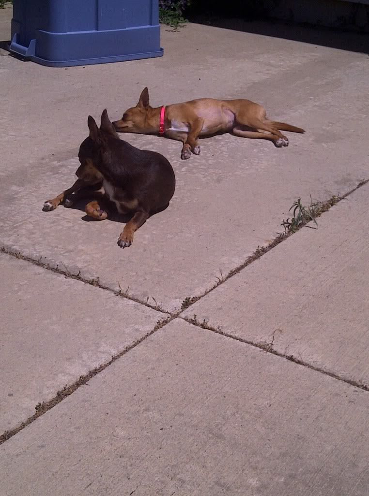 IMG-20110513-00146.jpg