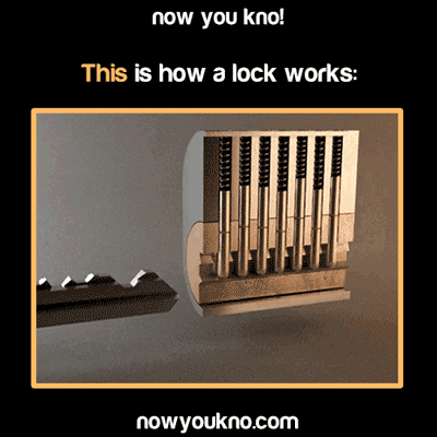60eedae3deb38e54662a076cedb4d799.jpg