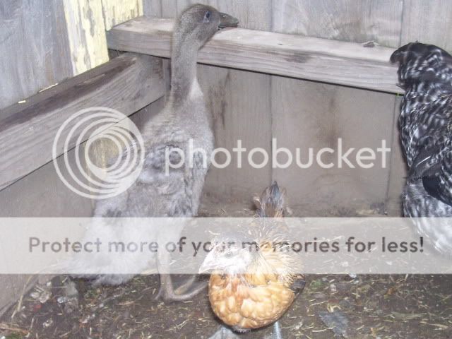 100_2889.jpg