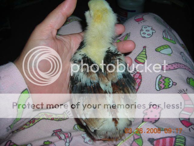 DSCN2426.jpg