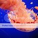 2848993963_fe53a85242_s.jpg