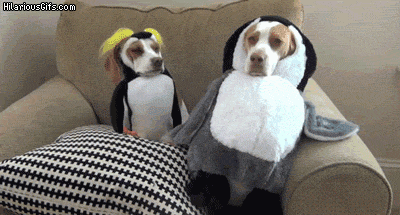 tumblr_ndzaqcm7P91toxnu4o10_400.gif
