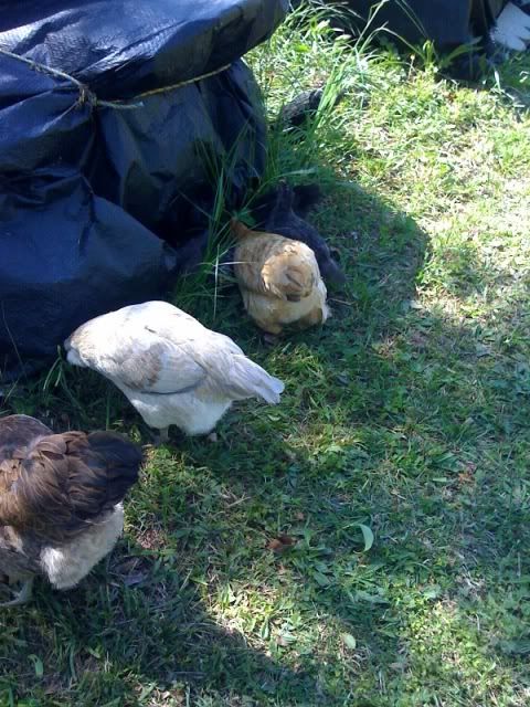 photo-157.jpg