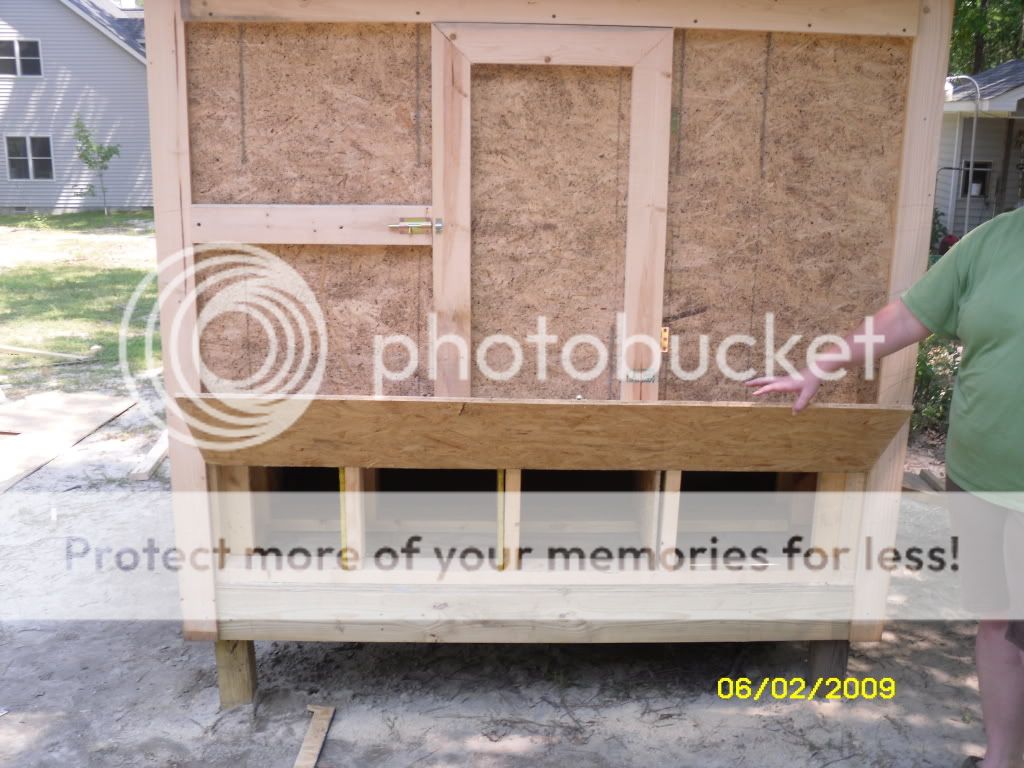 SDC10049.jpg