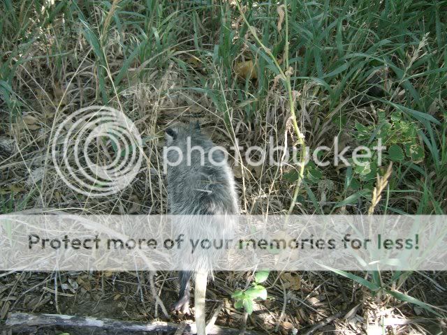 Picture1072.jpg