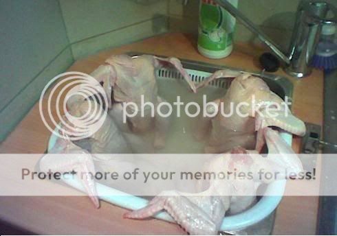 chicken_jacuzzi-11965.jpg