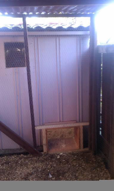 IMAG0830.jpg