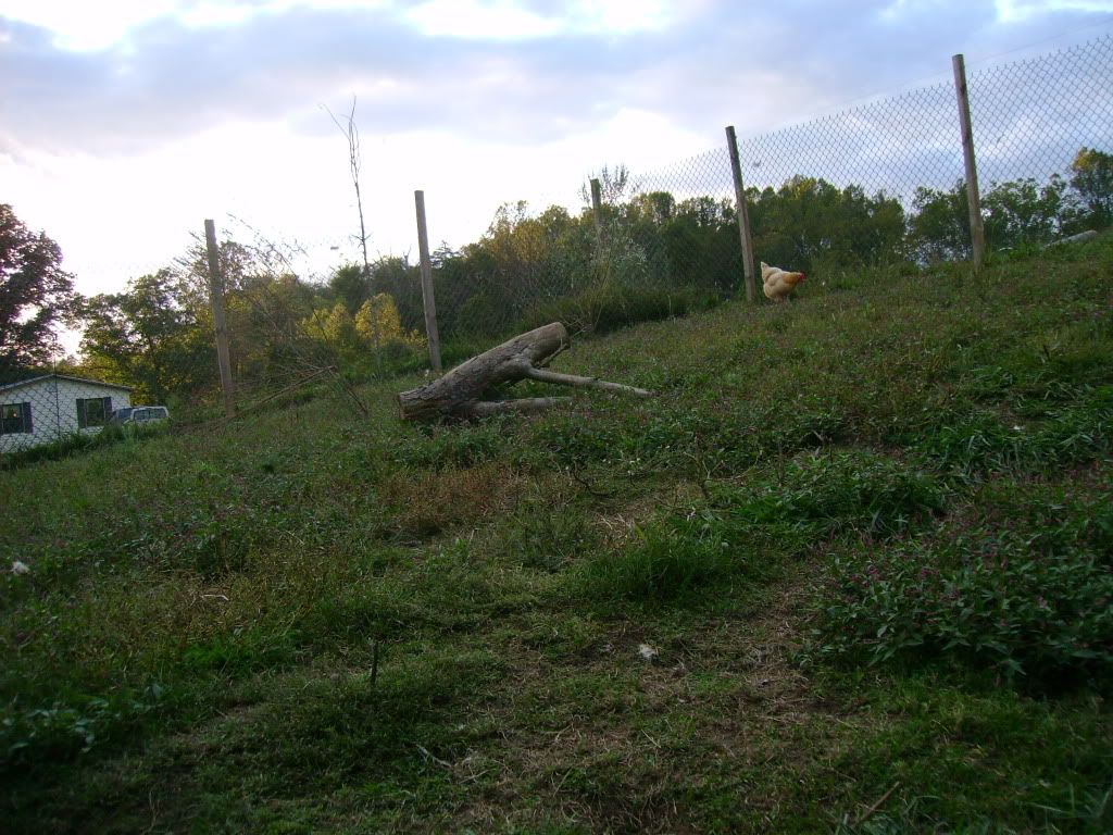 DSC04764.jpg