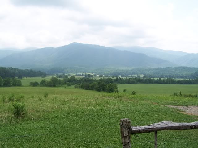 100_1258.jpg