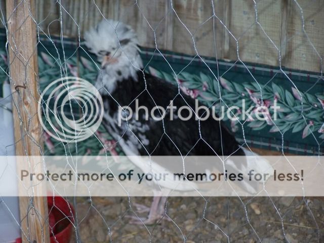 100_7091.jpg