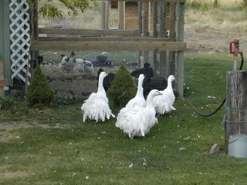 DSCN4758.jpg