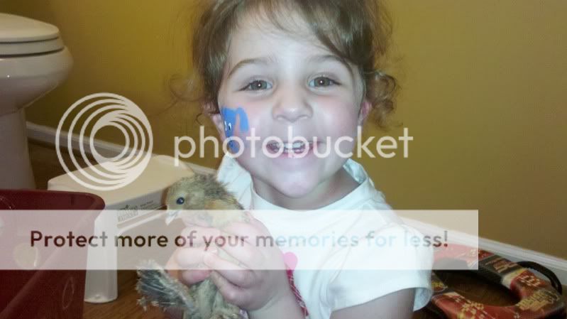 2011-09-17_14-24-57_917.jpg