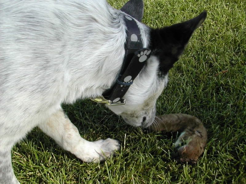 DSCN4569.jpg