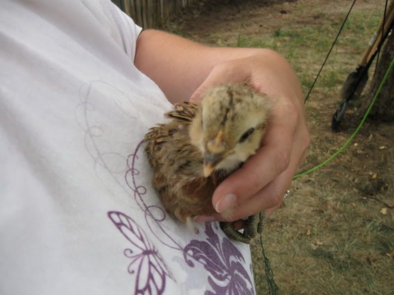 July12th2011012.jpg