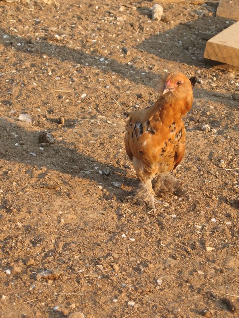 Photography016.jpg
