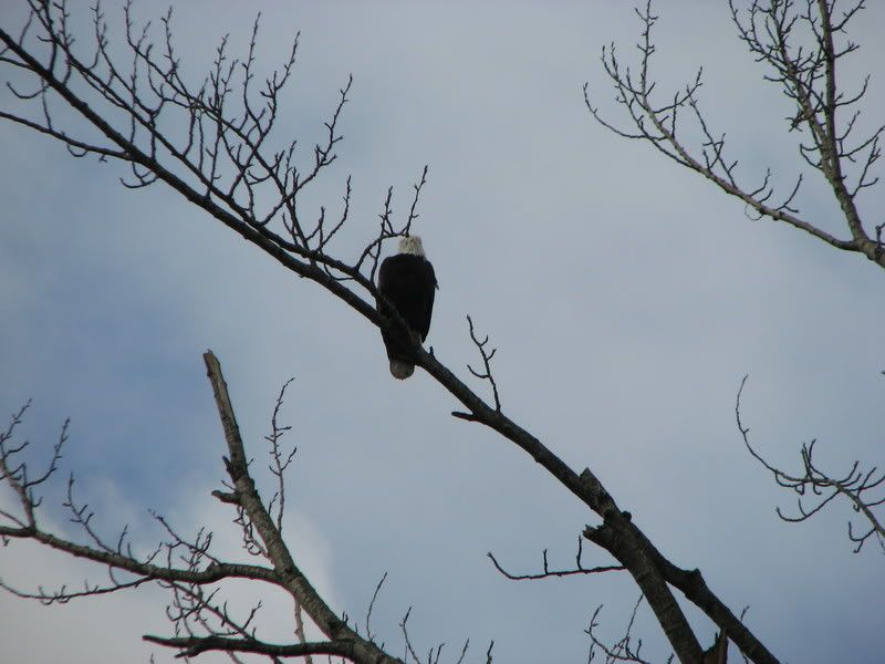 IMG_1717.jpg