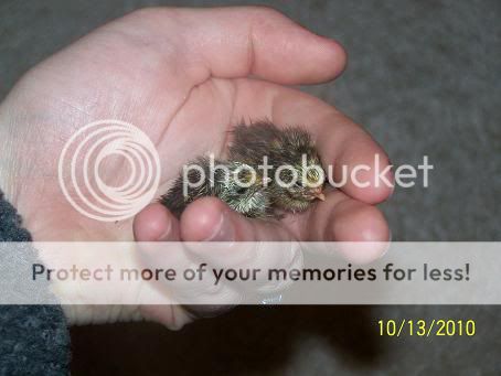 100_6091.jpg