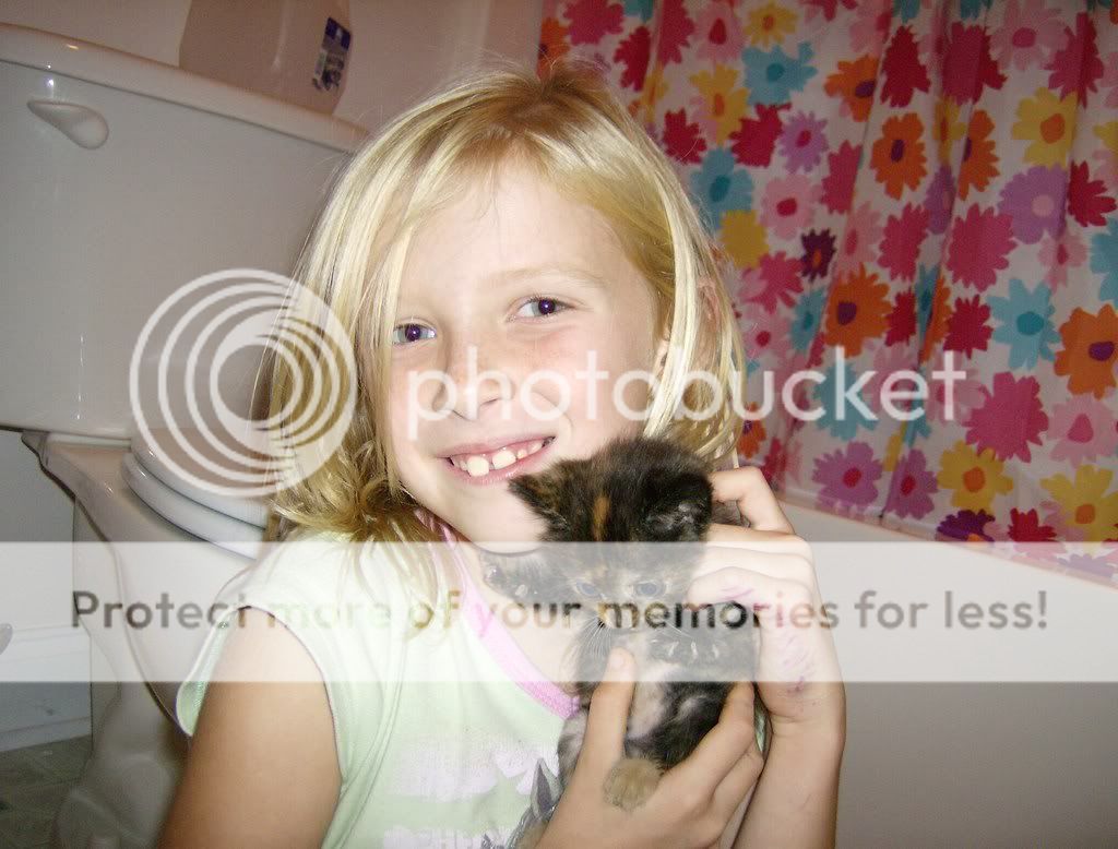 Kittens006.jpg