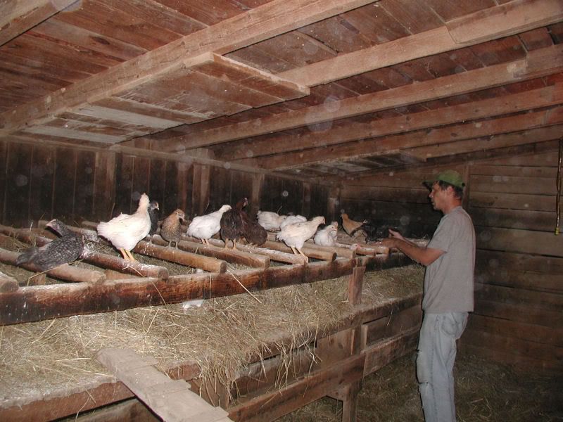 barn1.jpg