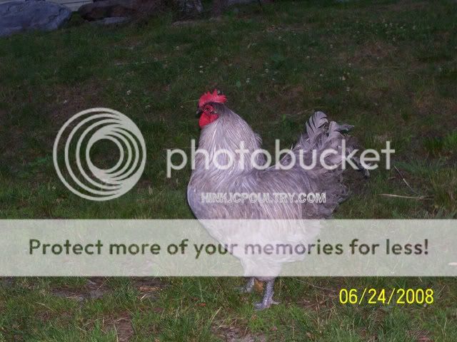 100_5068.jpg