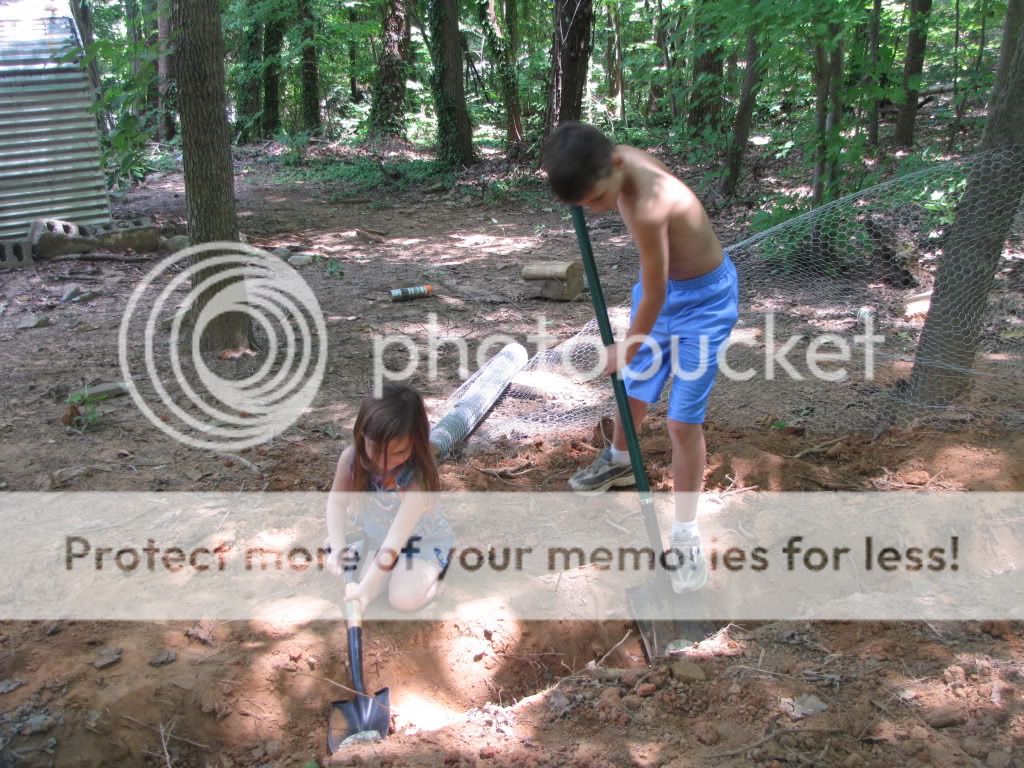IMG_1591.jpg