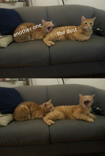 175ql1gj21f31.png