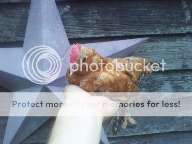 06-28-10_1757.jpg