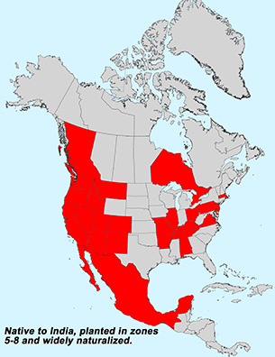 map.jpg