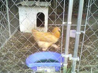 08100820051.jpg