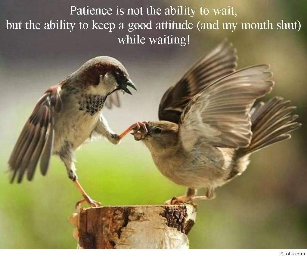 900x900px-LL-df5e8312_Quote65.jpeg