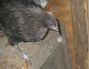 PC020111.jpg