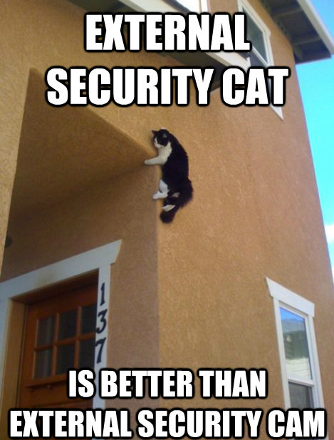 catcam.png