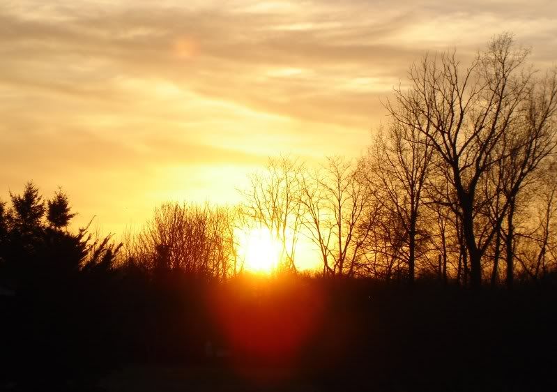 spring11pics159.jpg