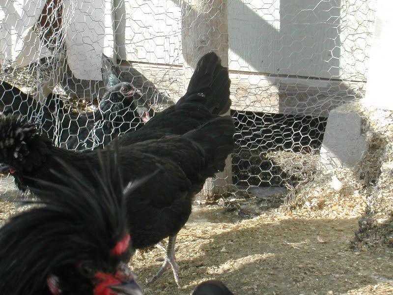 DSCN5151.jpg