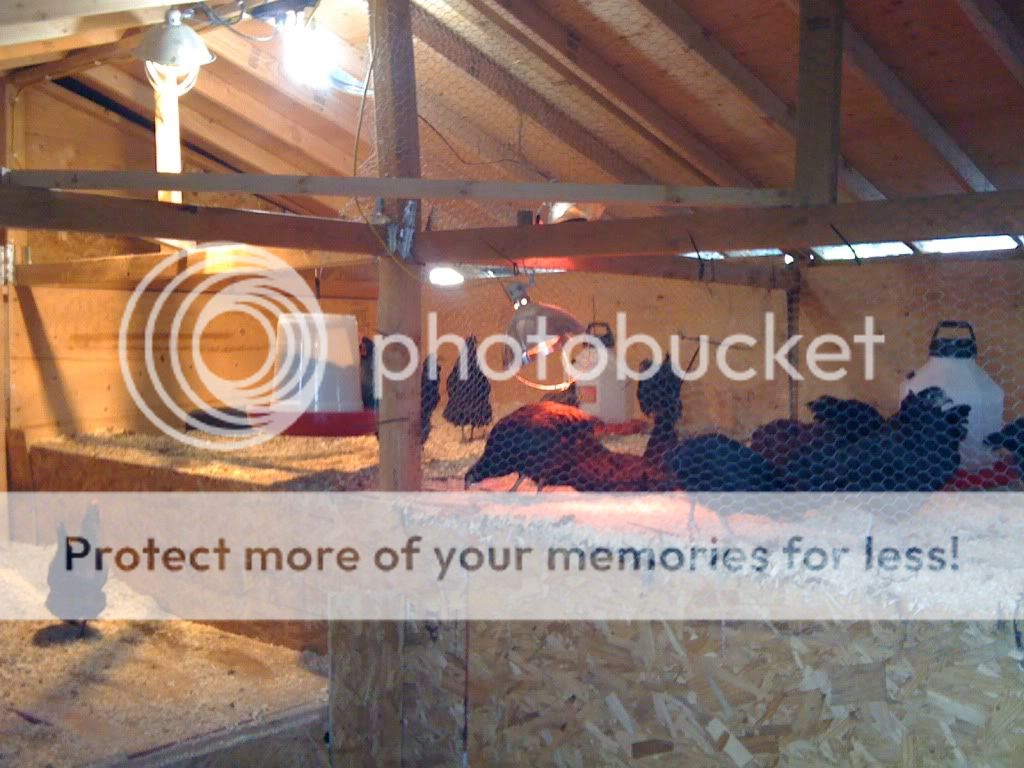 Picture048.jpg