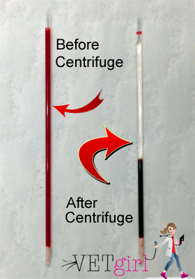 Blog-PCV-TP-BeforeAfter-Centrifuge.jpg