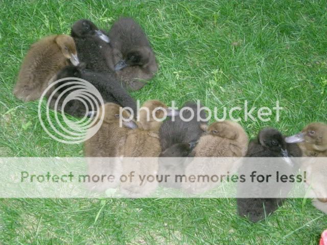 DSCN2814.jpg
