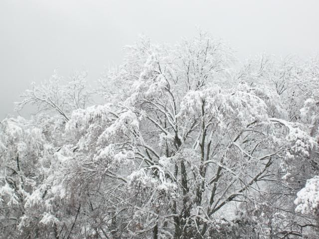 100_0095.jpg