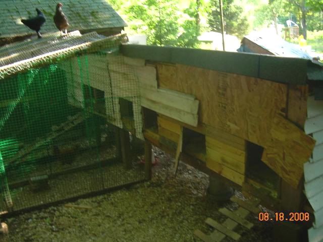 td049.jpg