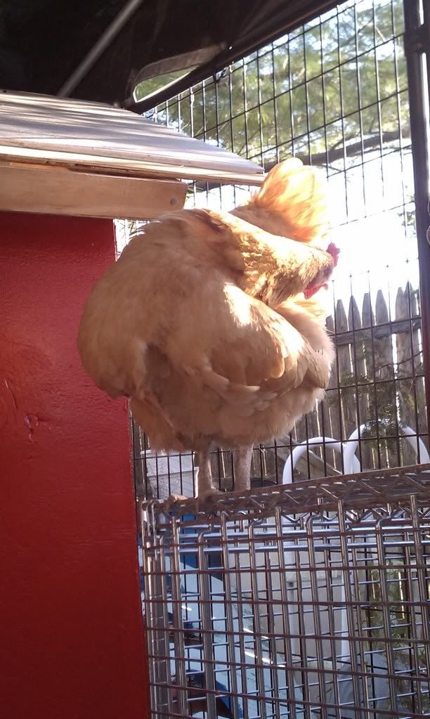 IMAG0779.jpg