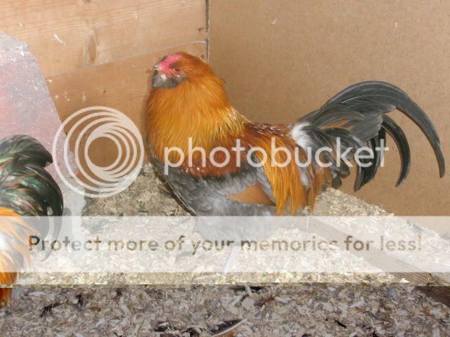 PC240829.jpg