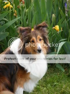 JRphoto130.jpg