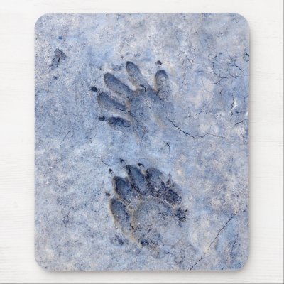 raccoon_tracks_mousepad-p144463419401145166envq7_400.jpg