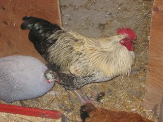 IMG_0963.jpg