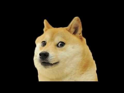0.jpg