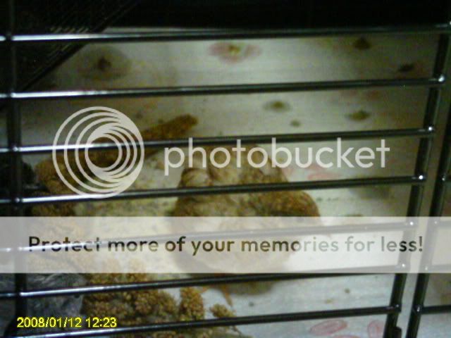 PICT0269.jpg