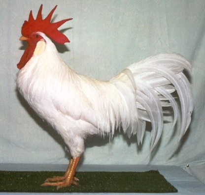 2a3a08d0.jpg
