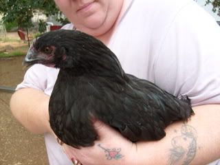 S6301500.jpg