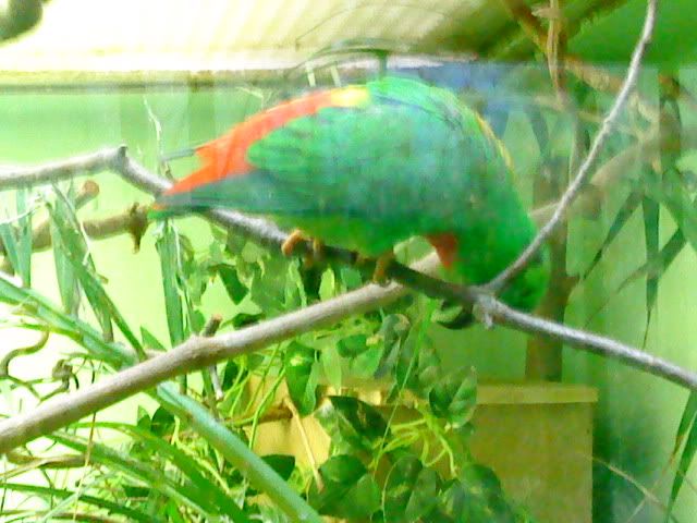 DSC08398.jpg